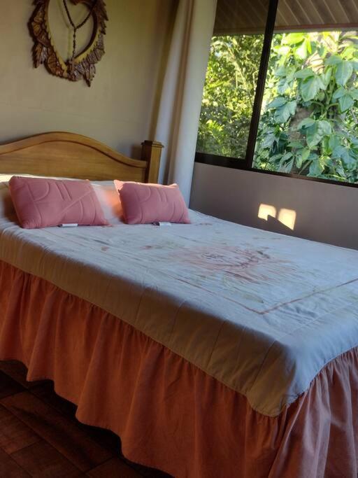 Eco Villas Tambor Tucanes מראה חיצוני תמונה