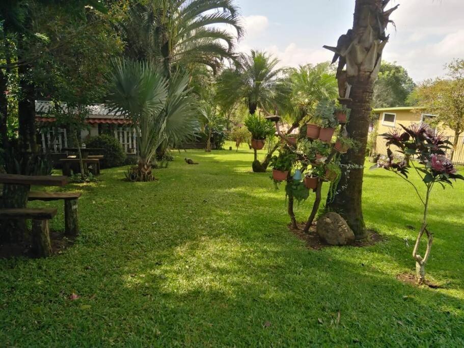 Eco Villas Tambor Tucanes מראה חיצוני תמונה
