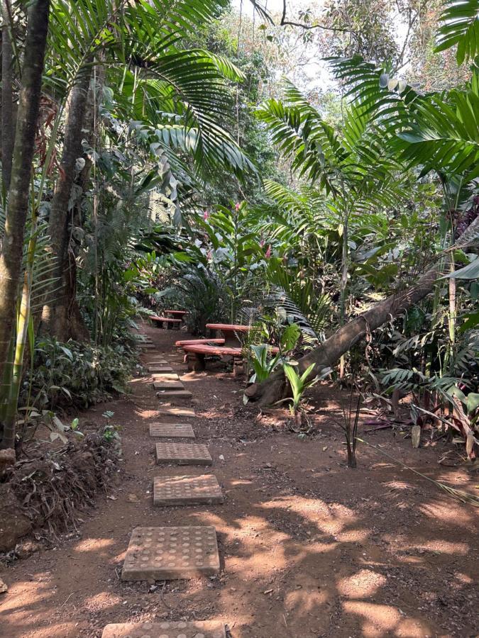 Eco Villas Tambor Tucanes מראה חיצוני תמונה